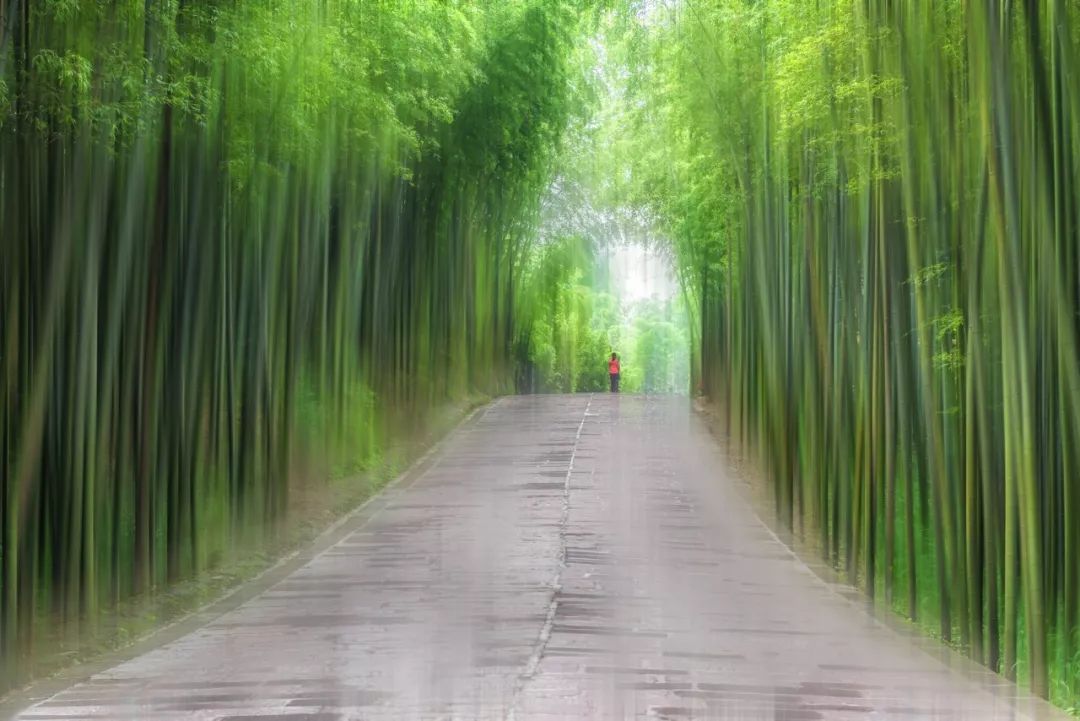 夏天最美十首诗词,100首入夏诗词带你清凉一夏