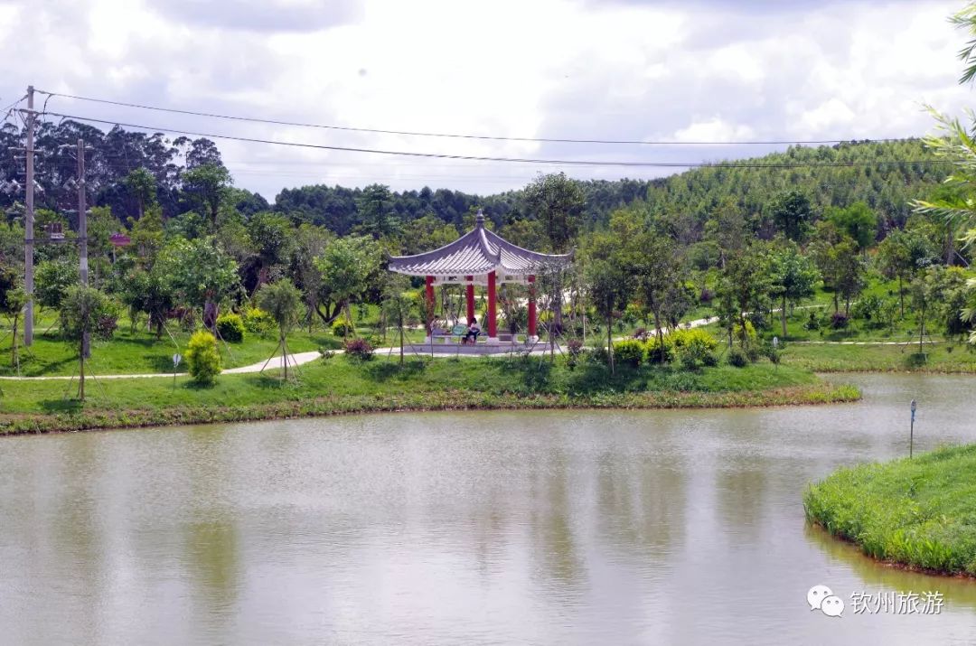 钦州花卉小镇旅游攻略,北部湾花卉小镇最佳观赏时间