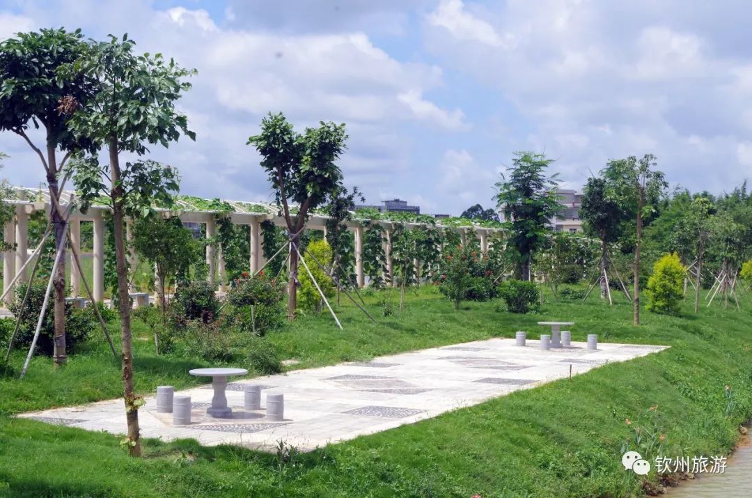 钦州花卉小镇旅游攻略,北部湾花卉小镇最佳观赏时间