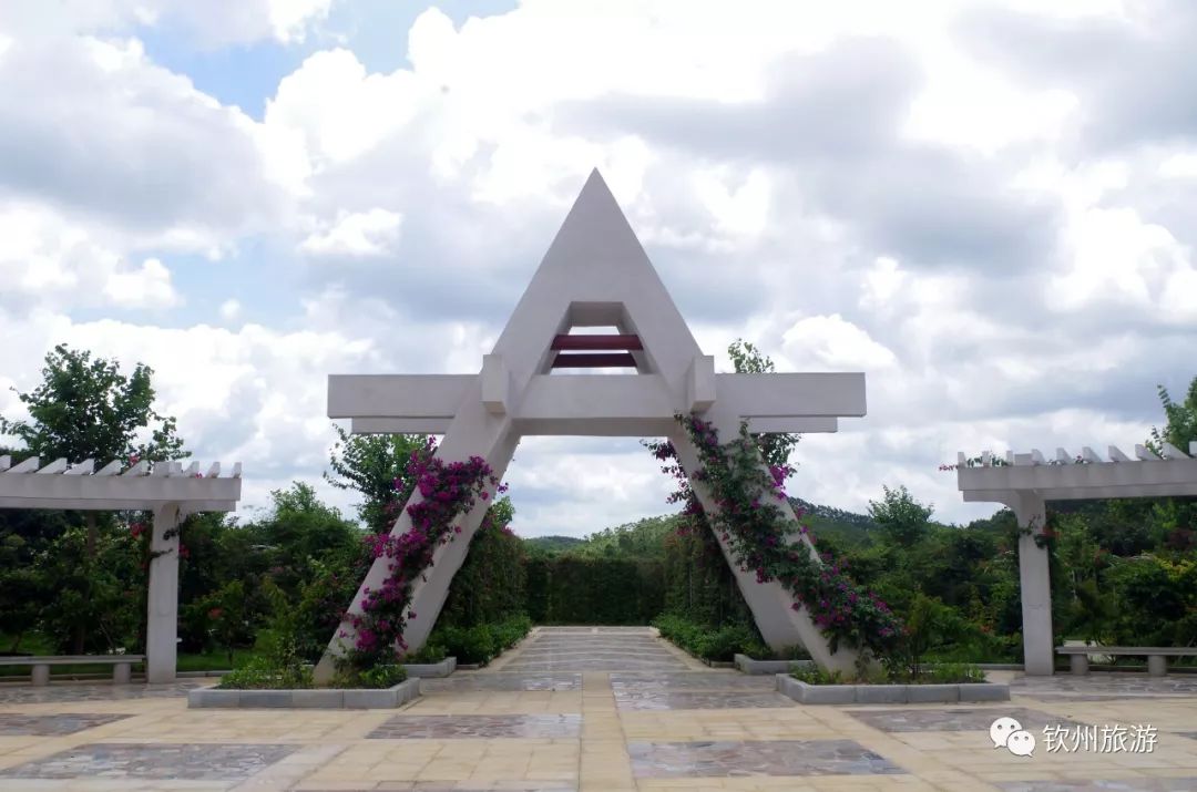 钦州花卉小镇旅游攻略,北部湾花卉小镇最佳观赏时间