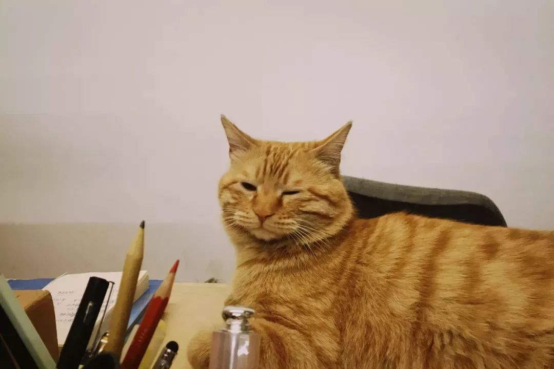 该以怎样的表情，面对周一？|一周新书