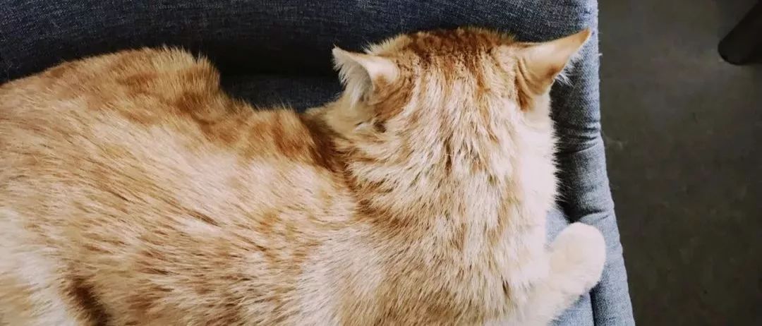 该以怎样的表情，面对周一？|一周新书