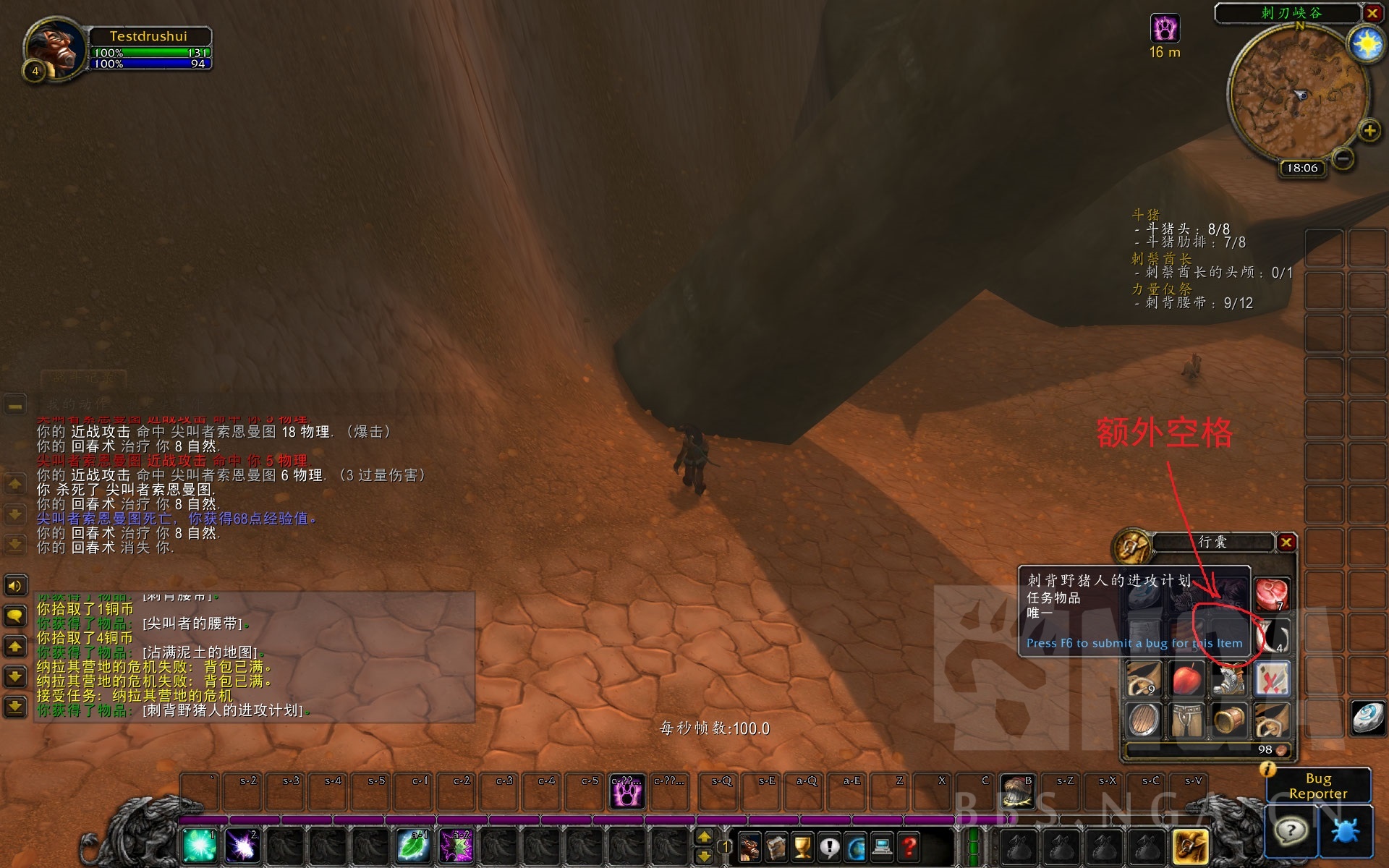 魔兽怀旧服德鲁伊传承装备,魔兽世界怀旧服牛头德鲁伊全攻略