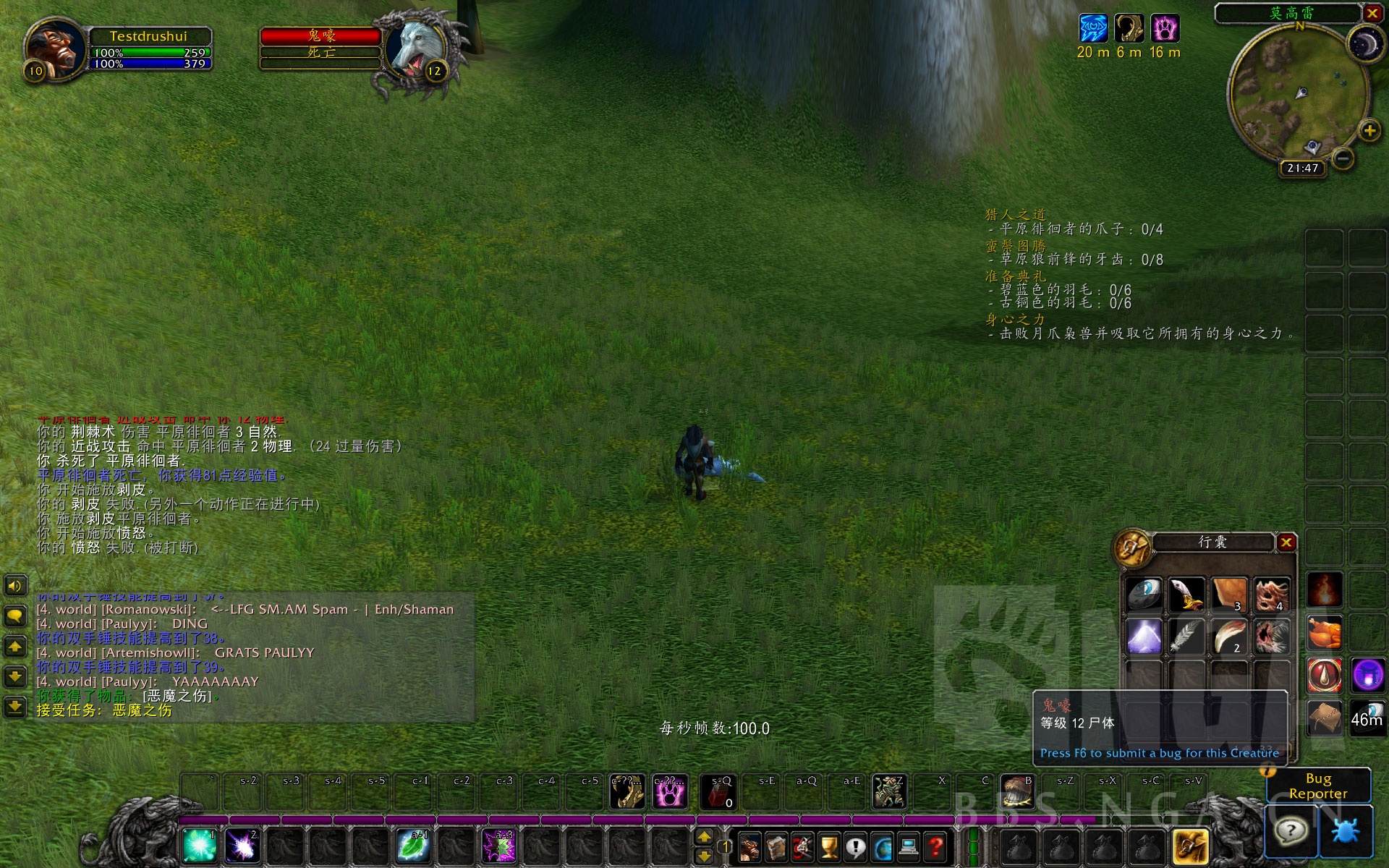 魔兽怀旧服德鲁伊传承装备,魔兽世界怀旧服牛头德鲁伊全攻略