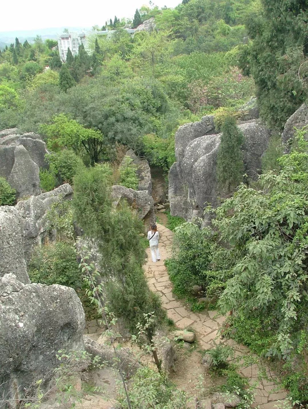 寻龙山团购,寻龙谷19.9门票购买