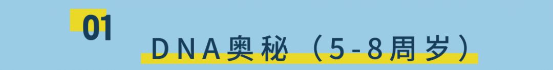 鲨鱼公园营口团购,鲨鱼公园亲子嘉年华