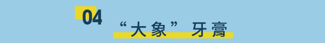 鲨鱼公园营口团购,鲨鱼公园亲子嘉年华
