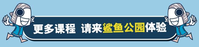 鲨鱼公园营口团购,鲨鱼公园亲子嘉年华