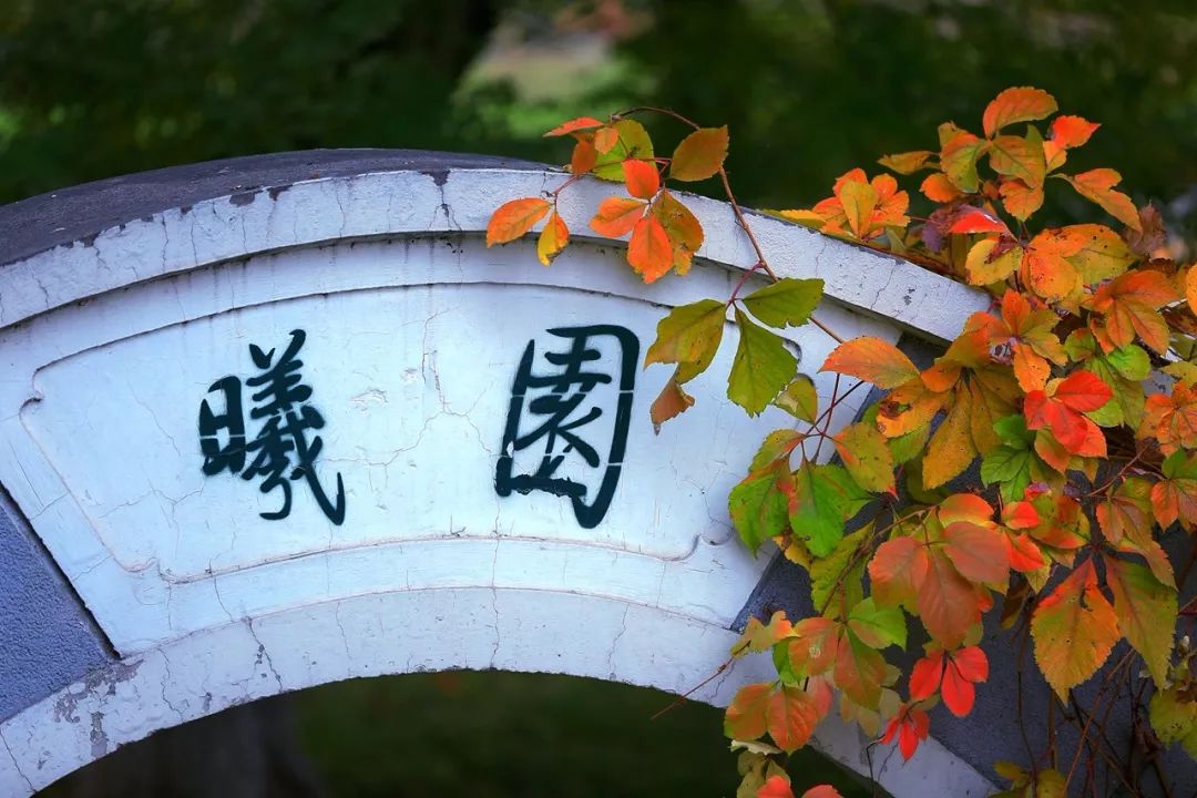 高考冲刺北师大,高考第一天北师大