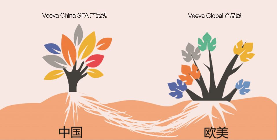 客户成功才是我们的成功,客户成功的基石