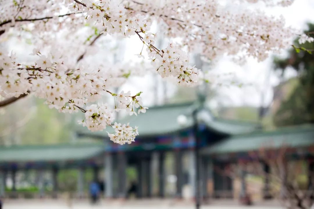 在人大读研究生是什么体验,人大硕士申请