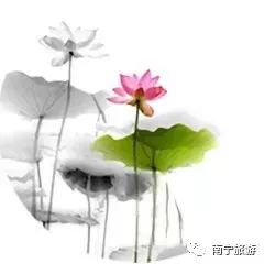 狮山公园春游,南宁狮山公园观竹赏荷