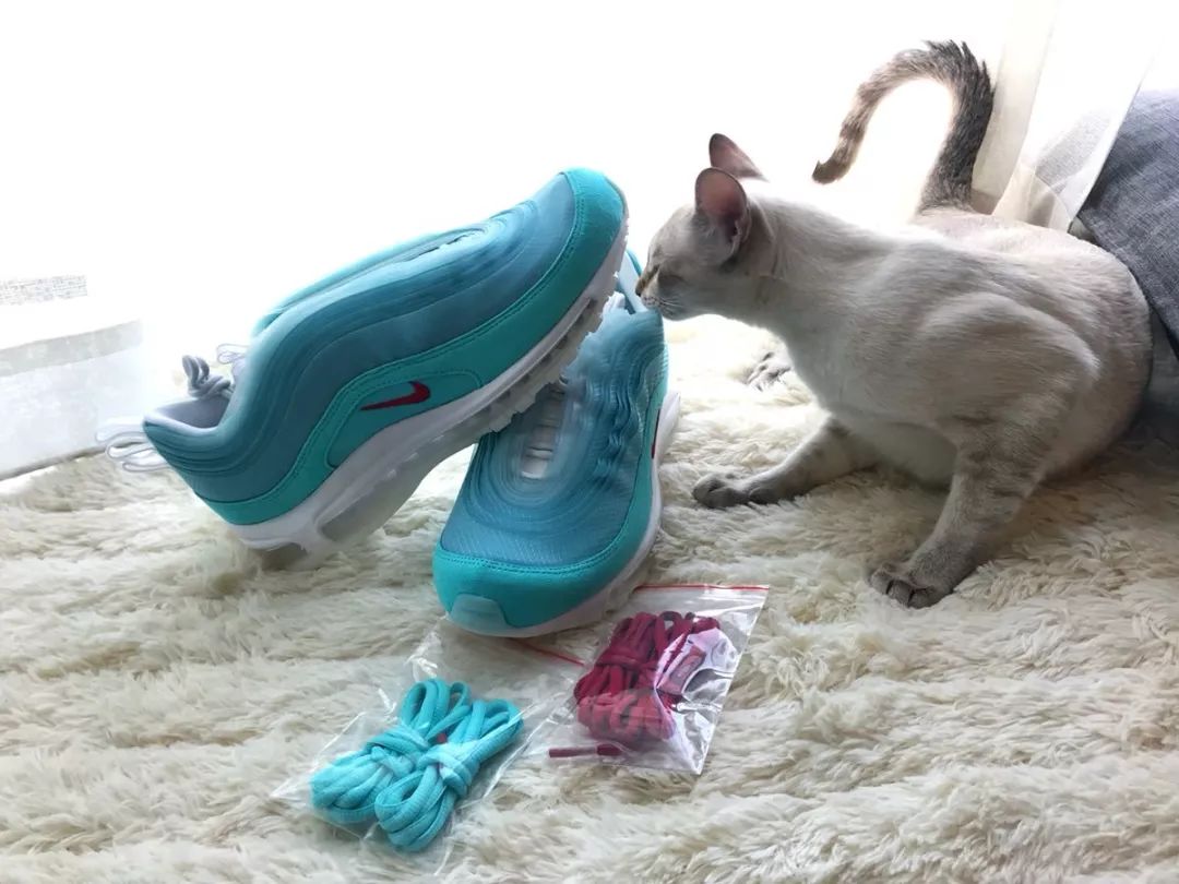 aj7patta鞋盒,aj7联名patta真假对比