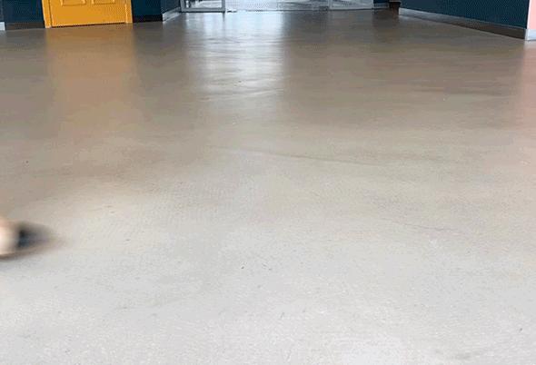 半个娱乐圈的女星都靠ta轰炸红毯！软底舒适、巨显腿长，回头率200%