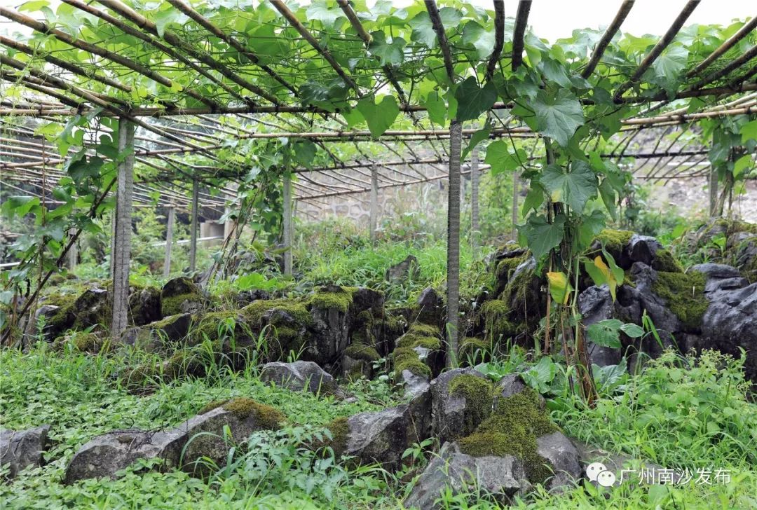 榛斿崡鑴辫传鏀诲潥涔℃潙鎸叴,鑱氱劍榛斿崡鑴辫传鏀诲潥