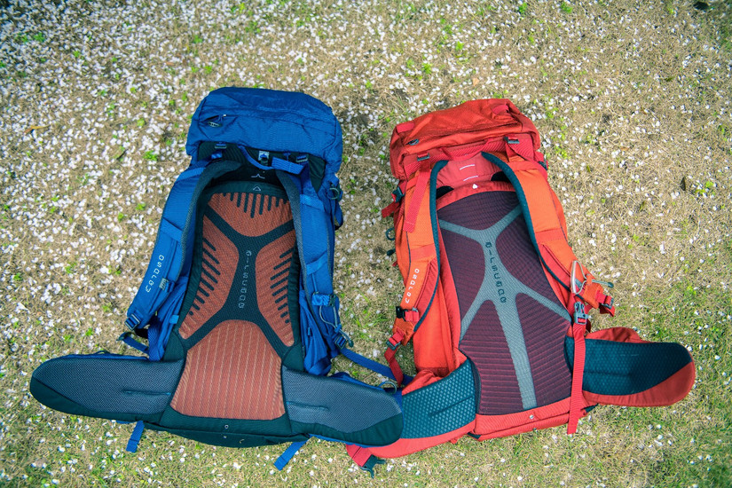 小鹰登山包老款新款区别,小鹰登山包65升效果