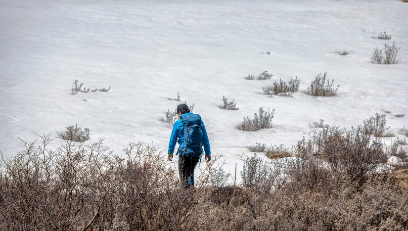 小鹰登山包老款新款区别,小鹰登山包65升效果