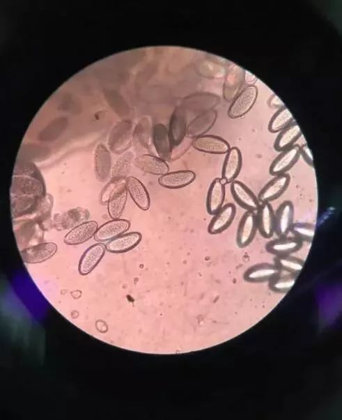 疫情期间家长怎么正确引导孩子,小孩出现四种情况家长要注意了