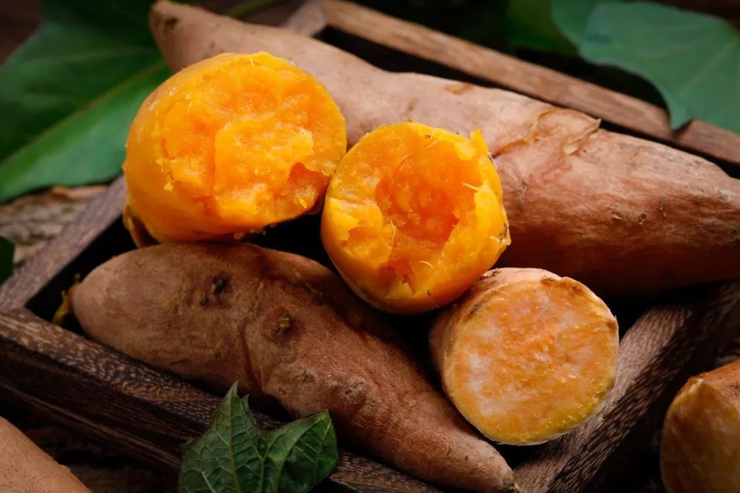 常说的发物都有哪些,医生所说的发物有哪几样