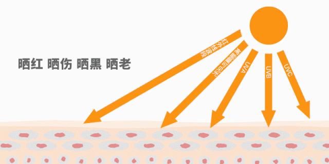 平价的防晒乳液,好用的防晒乳液
