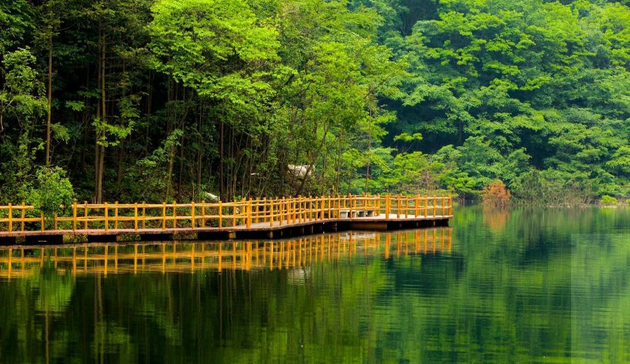 河南这9个地方被国家点名！即将迎来大发展！有你家乡吗？