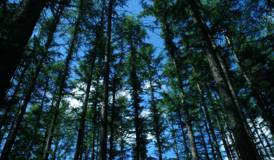 河南这9个地方被国家点名！即将迎来大发展！有你家乡吗？