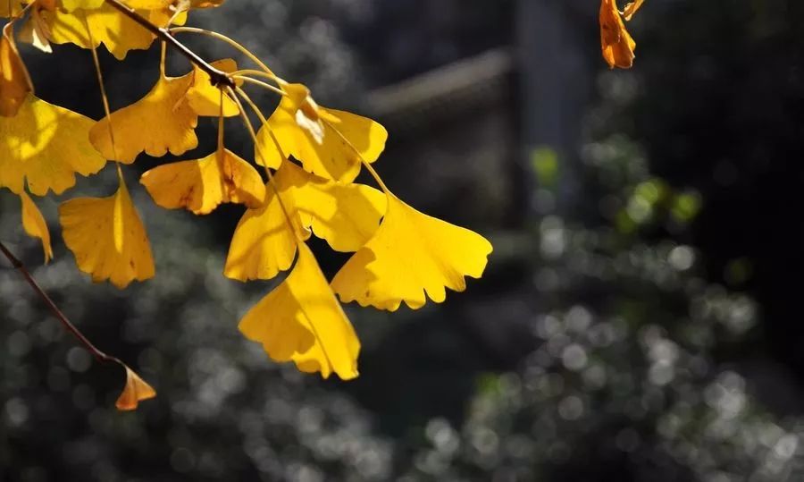 河南这9个地方被国家点名！即将迎来大发展！有你家乡吗？