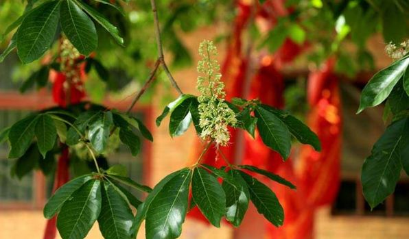 河南这9个地方被国家点名！即将迎来大发展！有你家乡吗？