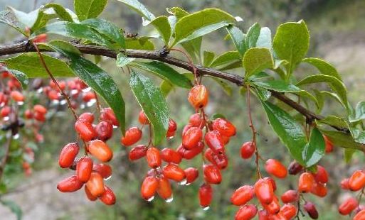 河南这9个地方被国家点名！即将迎来大发展！有你家乡吗？