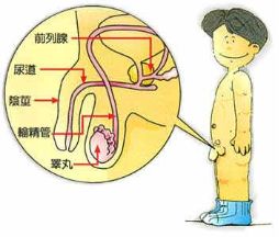 岭南妇科养生坊|怀不上,生不出?这些年,不孕不育那些事(上)