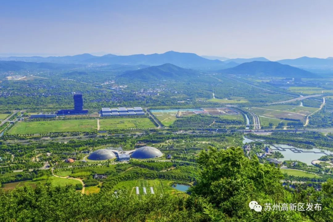 请回答2017,请回答2020总结