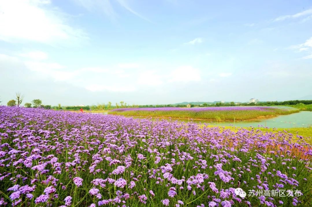 请回答2017,请回答2020总结