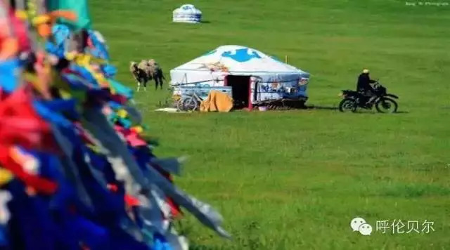 呼伦贝尔牙克石十大旅游景点,呼伦贝尔大草原收藏