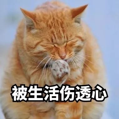 生活累了那就来感受一下大自然,让疲惫的身体回归原生态大自然