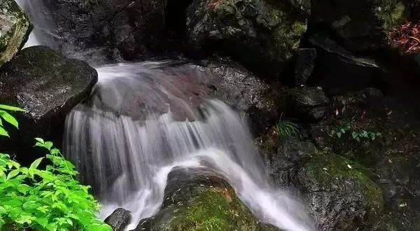 生活累了那就来感受一下大自然,让疲惫的身体回归原生态大自然