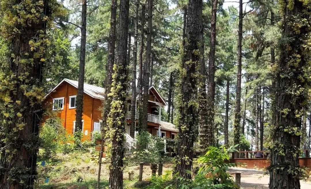 生活累了那就来感受一下大自然,让疲惫的身体回归原生态大自然