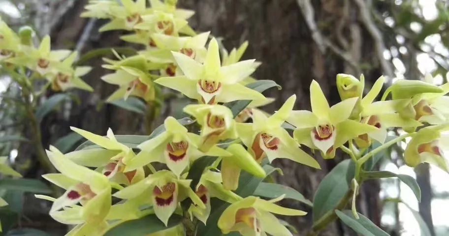 生活累了那就来感受一下大自然,让疲惫的身体回归原生态大自然