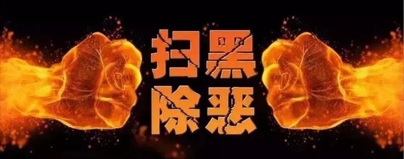 王佐良黑社会集团覆灭记,王佐良黑社会性质组织覆灭记