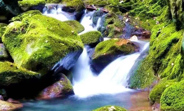 小众旅游地湖北美食多,湖北旅游美食攻略