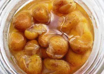 全身是宝的药,全身都是宝的种子