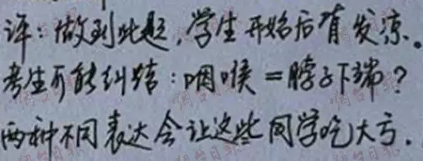 烟台高考数学手写解析,高考数学手写答案解析