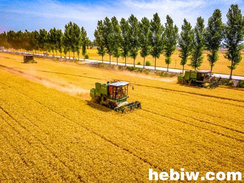 千年古城再出发——解码高质量发展的浚县之路