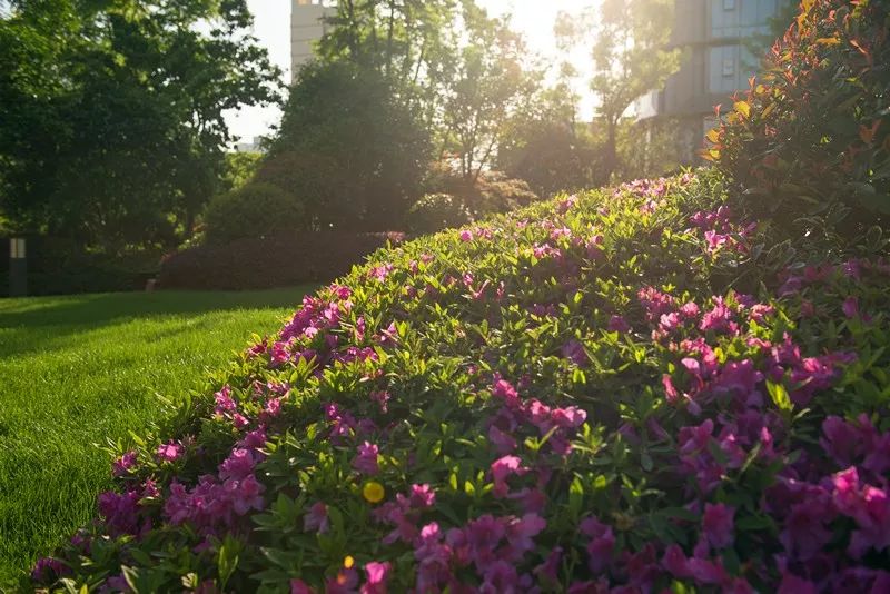 一线城市的豪宅盘是如何营销的,城市豪宅销售策略