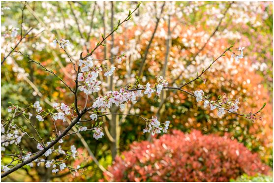 一线城市的豪宅盘是如何营销的,城市豪宅销售策略