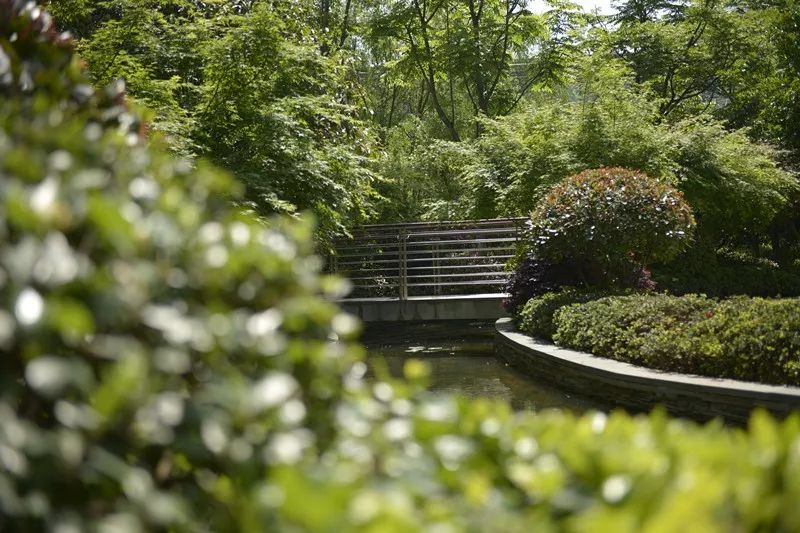 一线城市的豪宅盘是如何营销的,城市豪宅销售策略