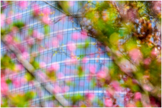 一线城市的豪宅盘是如何营销的,城市豪宅销售策略