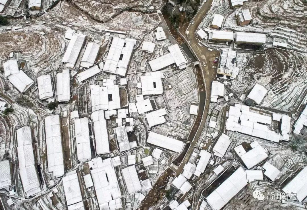 不只做红木、开金店！莆田人还会“滚雪球”?