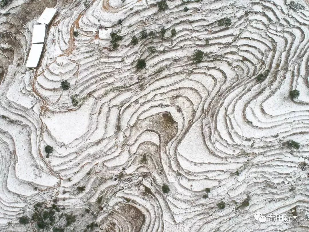 不只做红木、开金店!莆田人还会“滚雪球”?