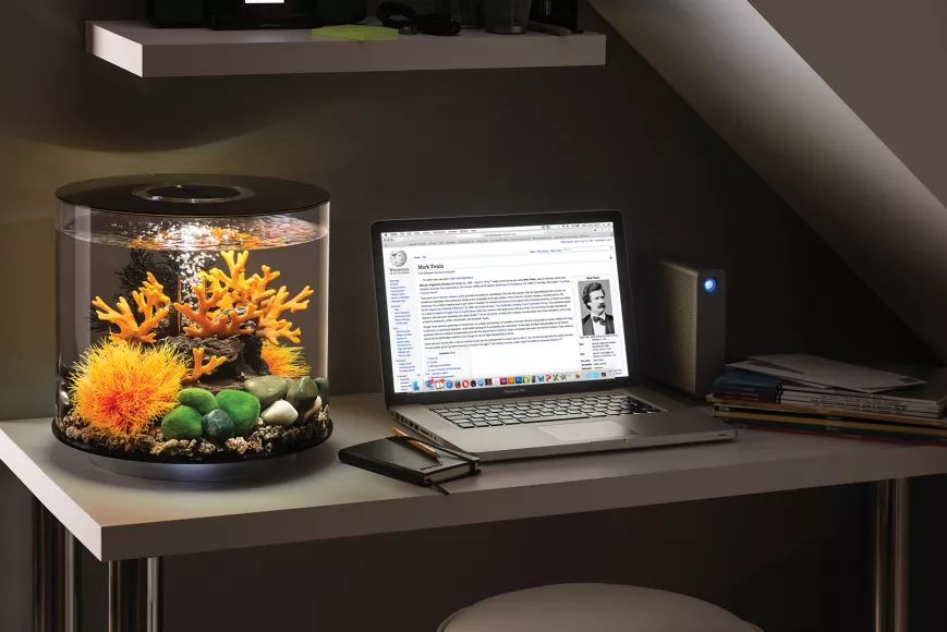 爱旅游的爸妈,爱旅游的男士送什么