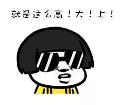 青岛月入5万招聘,青岛高层次人才招聘